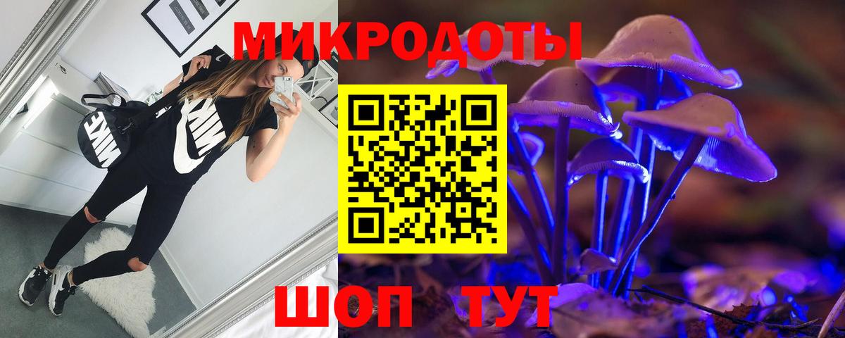 Псилоцибиновые грибы прущие грибы  Вход с VPN  Каменка  Галлюциногенные грибы мухоморы 